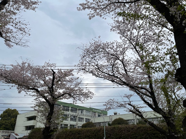 undefined - 2026-04-07T140200.080